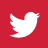 Twitter Icon